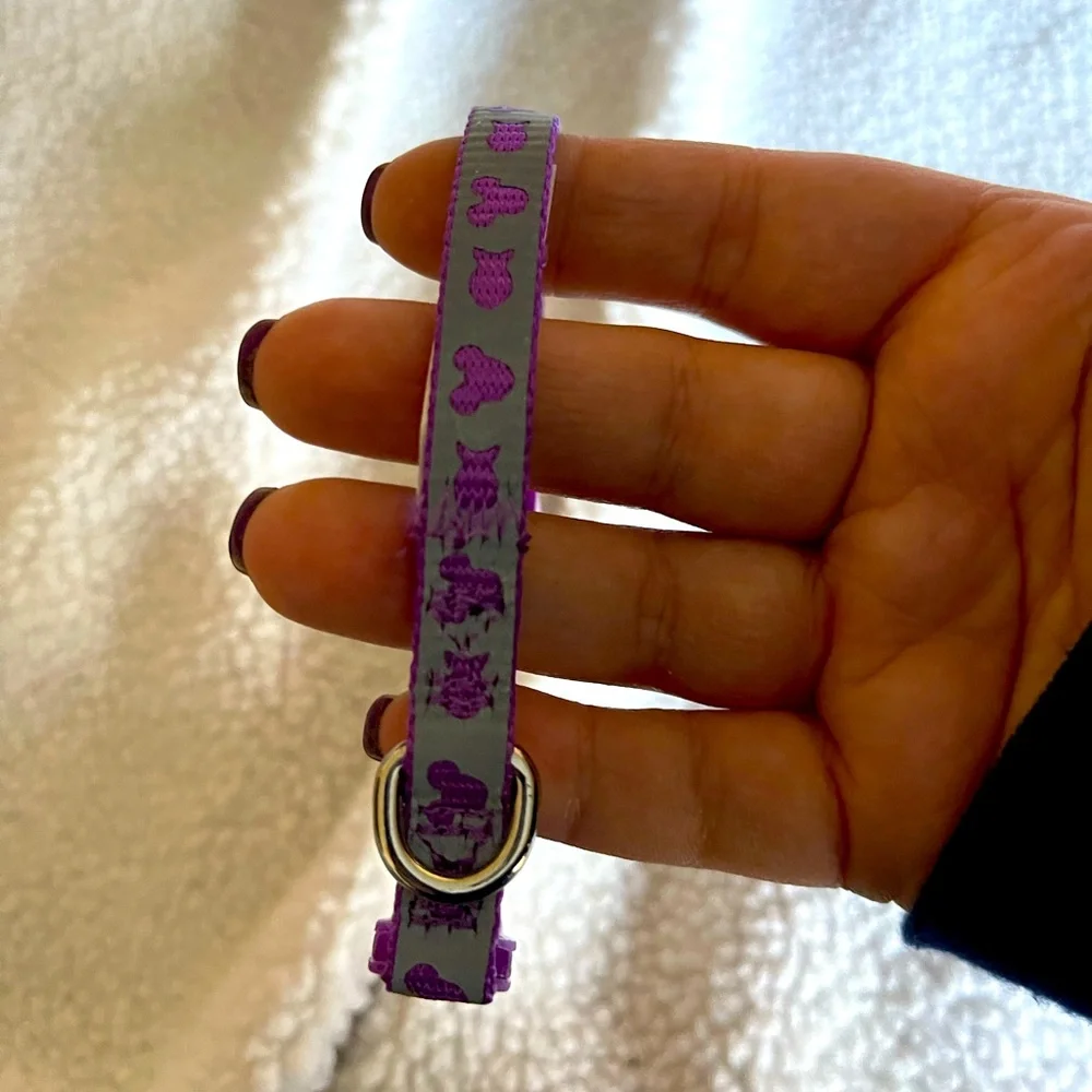 Disney cat collar